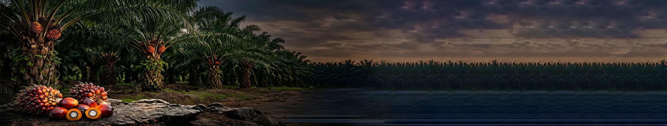 banner-cls