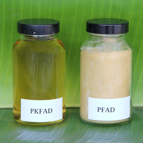 Palm & Palm Kernel Oil Products